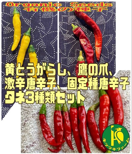 唐辛子3種類のタネセット/黄とうがらしと鷹の爪と激辛唐辛子のタネ各20粒セット/固定種・無農薬無化学肥料栽培の種子