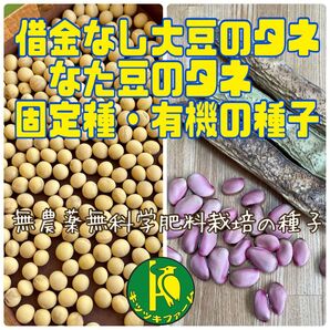 借金なし大豆のタネ15粒となた豆のタネ5粒 無農薬・無化学肥料栽培の種子