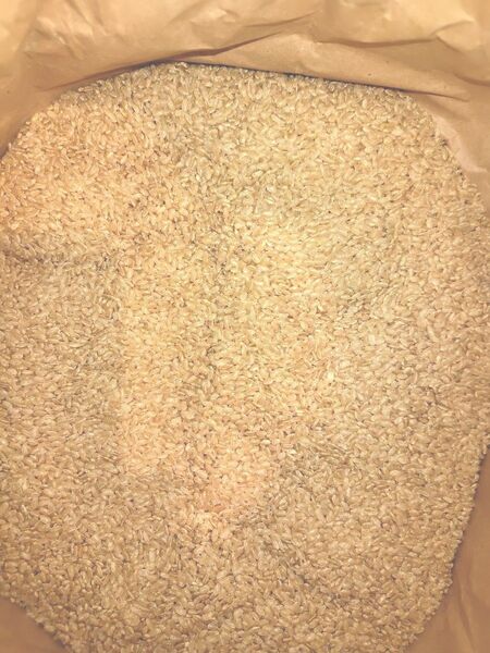 古米 玄米15kg 無農薬米 岩手県産