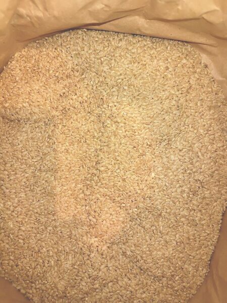 古米 玄米20kg 無農薬米 岩手県産 飼料米