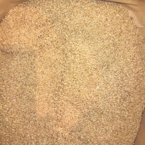 古米 玄米20kg 無農薬米 岩手県産 飼料米等