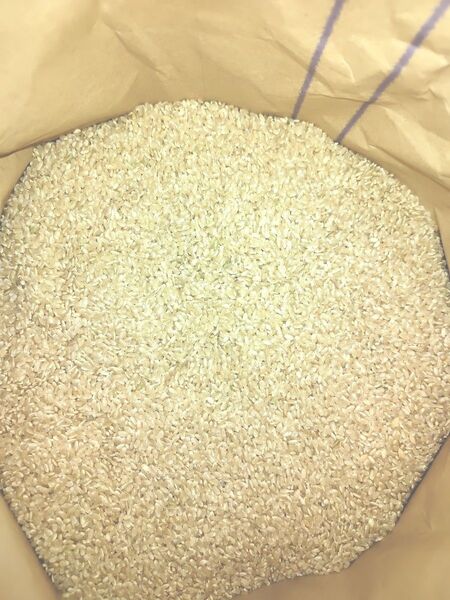 新米 玄米20kg 岩手県産 減農薬米