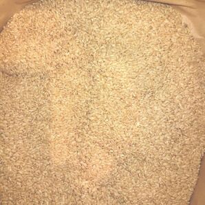 古米 玄米20kg 無農薬米 飼料米等