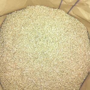 新米 玄米10kg 減農薬米 岩手県産