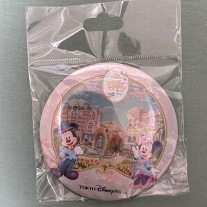 ファンタジースプリングス ホテル 缶バッジ ディズニーシー