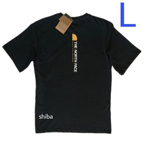 THE NORTH FACE ノースフェイス VT tシャツ 半袖 海外限定 バーティカル 黒 ブラック カーキ 海外Lサイズ
