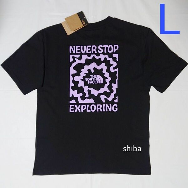 THE NORTH FACE ノースフェイス tシャツ 半袖 ヴォヤージュ ブラック 黒 パープル 紫 海外Lサイズ