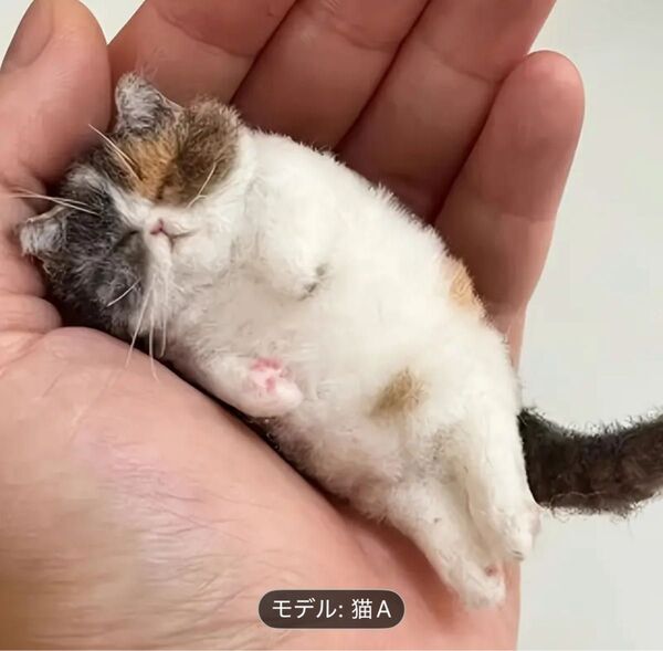 初心者向けニードルフェルトキット:かわいい猫