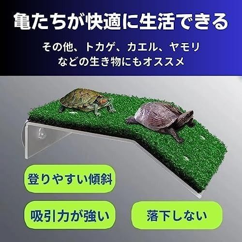 ひなたぼっこ 登り石 人工緑芝 吸盤 亀 浮島 爬虫類 水槽台 日光浴 カメ桟橋
