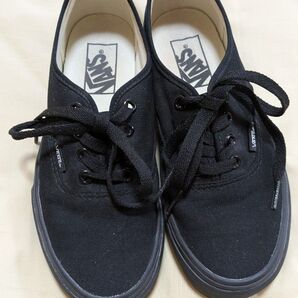 VANS バンズ オーセンティック 22.5