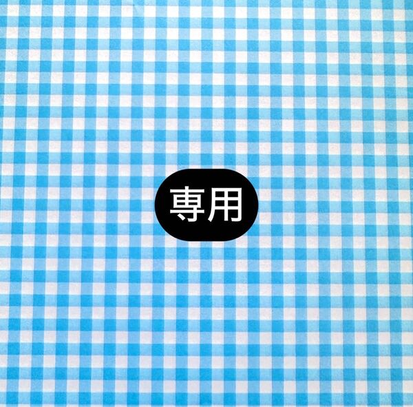 日に流れて橋に行く11巻 日高ショーコ アニメイト特典4Pリーフレット付き/葉山せんせいの抱きまくら/野杜もち