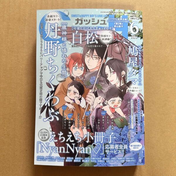 GUSH ガッシュ 2025年6月号 ヒメにいはおぢさん番外編あり アンケートハガキ・全プレ関連切り取りあり【開かず発送】