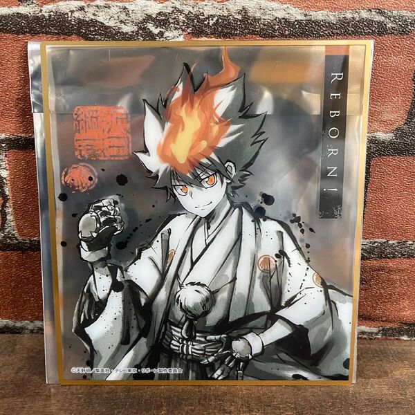 家庭教師ヒットマンREBORN クリア色紙 沢田綱吉