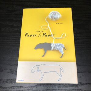 Paper×paper uiの紙工作 中林うい/著