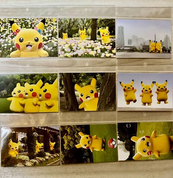 ポケモンセンター ポストカード フォトジュニックピカチュウ9枚セット