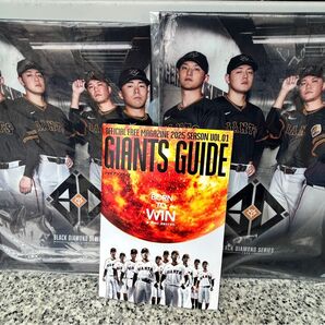 読売ジャイアンツ ブラックダイヤモンドシリーズ クリアファイル 2枚