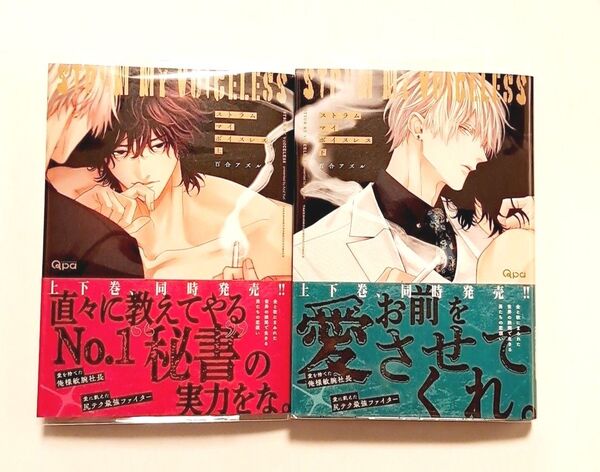 ストラム マイ ボイスレス 上&下 ※初期不良あり