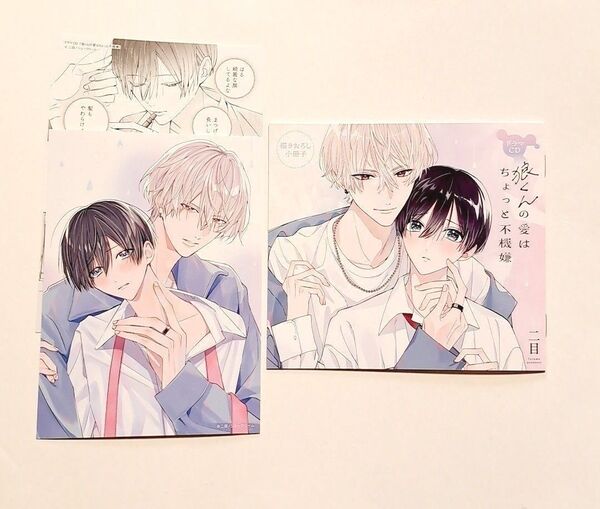狼くんの愛はちょっと不機嫌 ドラマCD ドラマCD封入小冊子 アニメイト特典ペーパー アニメイト連動購入特典カード 3点セット