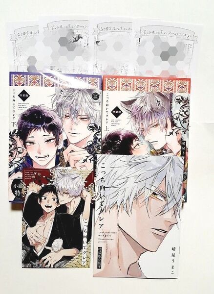 こっち向いてグレア 上&下 特装版 特典ペーパー4点