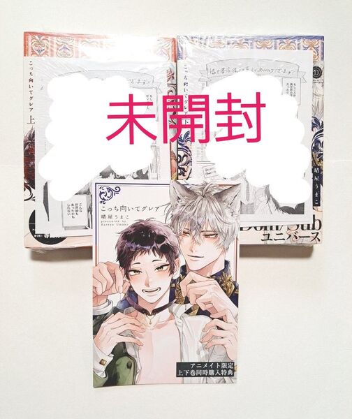 こっち向いてグレア 特装版 上&下 アニメイト特典リーフレット