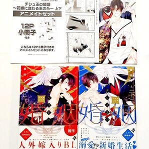 チシュ王の婚姻~花嫁に交わる王の糸~ 上 下 アニメイト限定セット