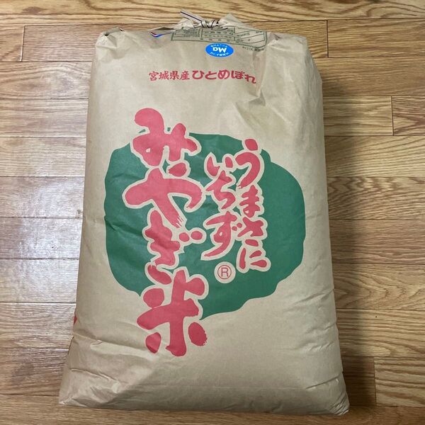 令和6年産 宮城見 ひとめぼれ 20kg 一等米 玄米
