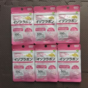 イソフラボン サプリメント 6袋