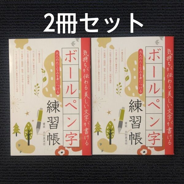 ボールペン字練習帳 2冊セット