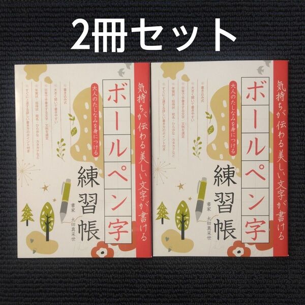 ボールペン字練習帳 2冊セット