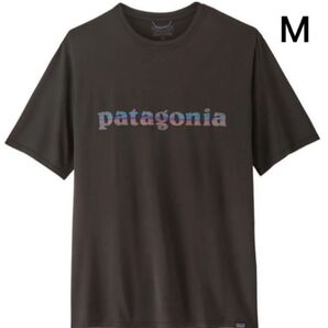 パタゴニア キャプリーン デイリー クール Tシャツ 45235