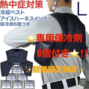 【最高に涼しさ長持ち!新品 】保冷剤6個付き 冷却ベスト クールベスト アイスハーネス 日本製 L