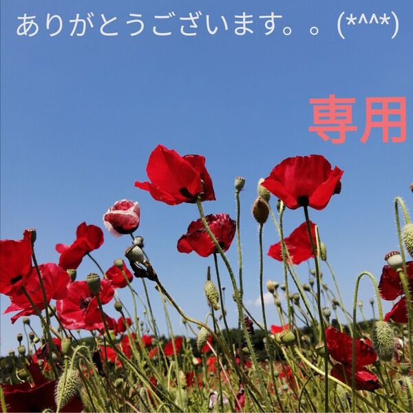 デコパーツ プラパーツ ハンドメイド 材料 手作り デコ パーツ お花 兎 素材 動物 花 ハート うさぎ ラメ 飾り フラワー
