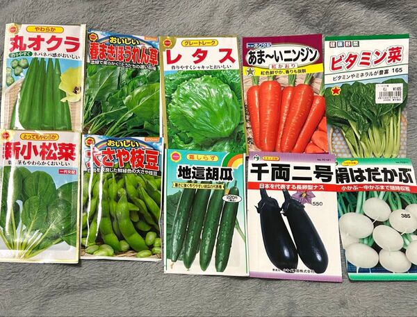 野菜の種 訳あり