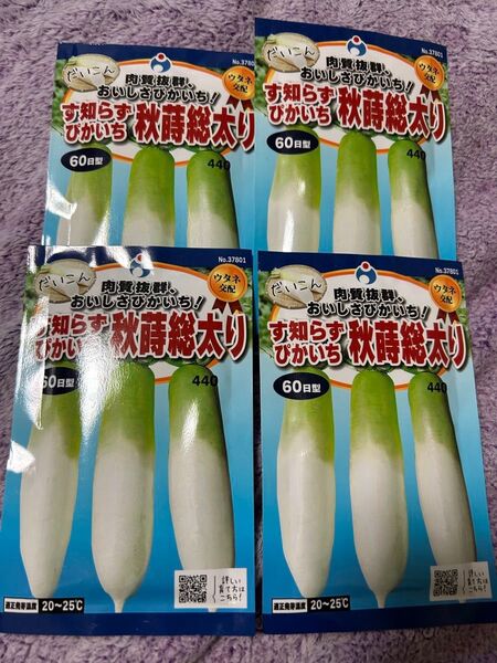 野菜の種 大根 秋蒔き総太り4