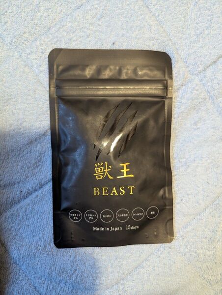 獣王 1袋45錠 新品未開封