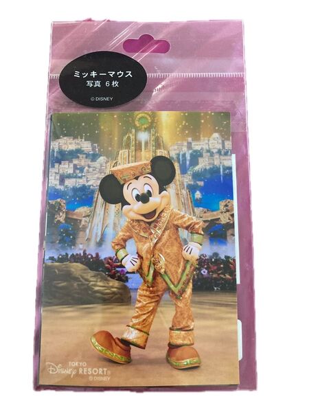 ディズニーリゾート ミッキーマウス 写真 6枚 ブロマイド 生写真 公式