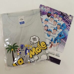 《非売品2点+おまけ付き》日ハ厶 レイエス選手オリジナルTシャツ とクリアファイル ◎おまけ「#推しの写真に埋もれたい」パンフ
