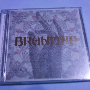 送料込 Brahman - Antinomy