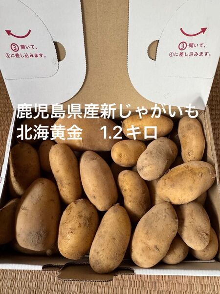 鹿児島県産新じゃがいも 北海黄金1.2キロ