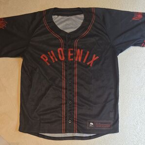 三遠ネオフェニックス セカンドユニフォーム 2XL