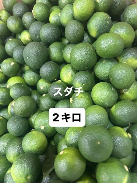 ハウスすだち 約2キロ