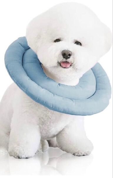 エリザベスカラー 猫 犬 引っ掻き防止 ブルー Sサイズ 術後 傷口保護 ペット用品