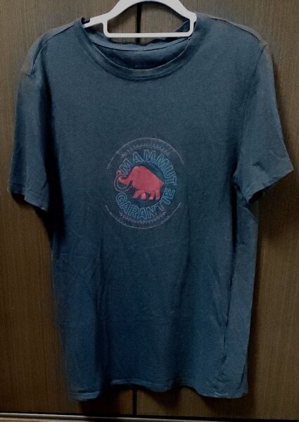 【激レア】マムートマンモス グランティ Tシャツ MAMMUT GRANITE グレー系