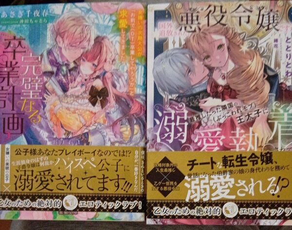 TL小説セット