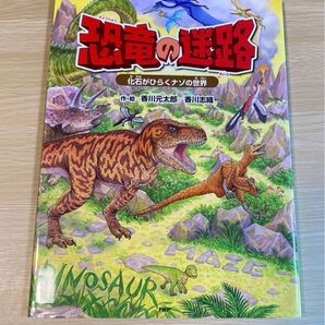 絵本【恐竜の迷路〜化石がひらくナゾの世界〜】美品★迷路 知育絵本 恐竜/迷路・かくし絵・みつける!