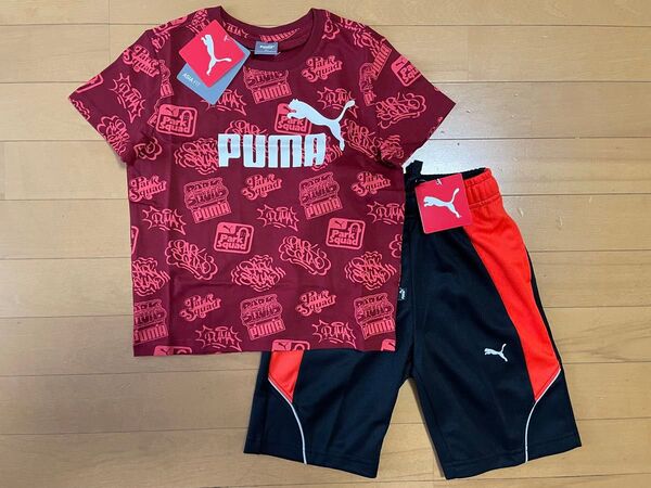 新品未使用 PUMA プーマ 上120下110 大人気の総柄!!半袖Tシャツ(レッド)・ジャージハーフパンツ(ブラック 黒) 上下
