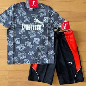 新品未使用 PUMA プーマ 上120下110 大人気の総柄!!半袖Tシャツ(グレー)・ジャージハーフパンツ(ブラック 黒) 上下