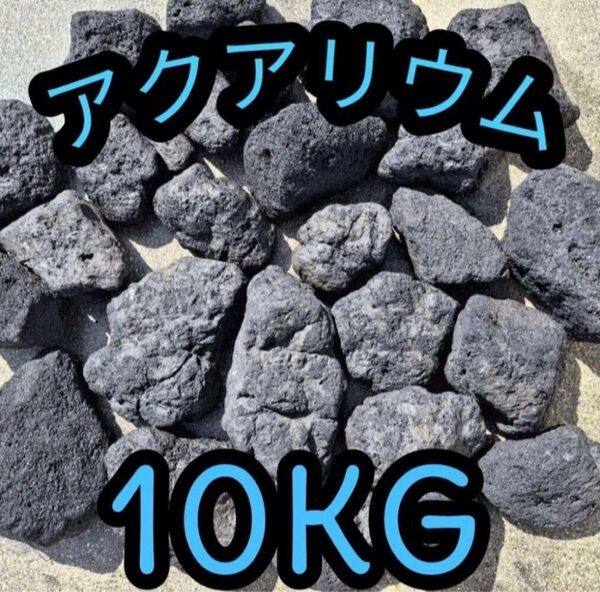 アクアリウム 水槽 溶岩石 10キロ 国産 メダカ 熱帯魚 浄化 メダカ
