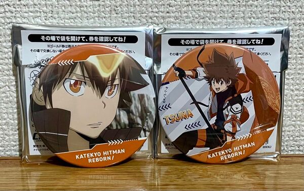 家庭教師ヒットマンREBORN! ラッキー缶バッジ 沢田綱吉 ツナ