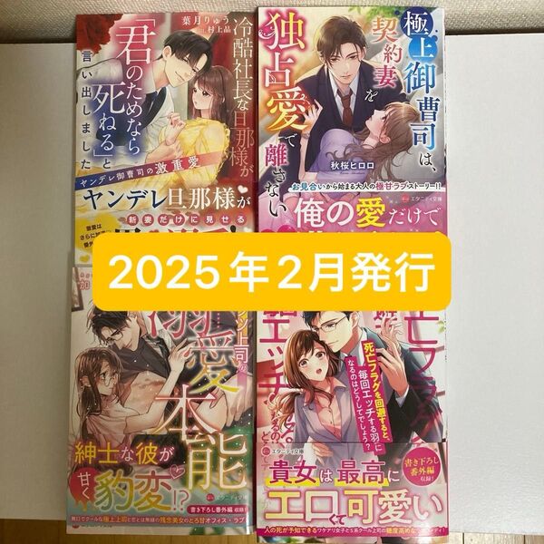 『即購入不可』TL小説 2025年2月発行 ベリーズ文庫・エタニティ文庫4冊セット